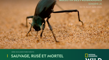 Bulletin NGW S25.pdf