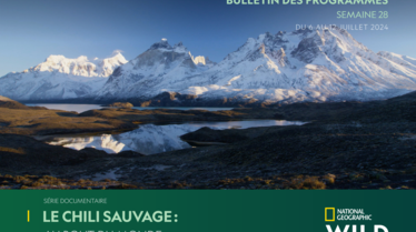 Bulletins NGW S28.pdf