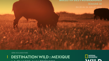 BULLETIN NGW S30.pdf
