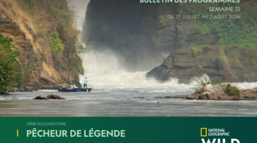 Bulletin NGW S31.pdf