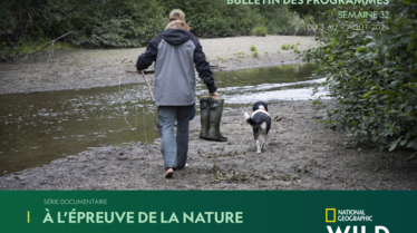 Bulletin NGW S32.pdf
