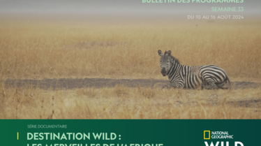 Bulletin NGW S33.pdf