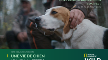 Bulletin NGW S34.pdf