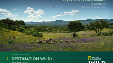 Bulletin NGW S35.pdf