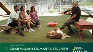 Bulletin NGW S37.pdf