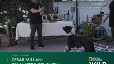 Bulletin NGW S39.pdf
