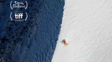 EVEREST