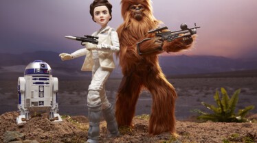 Forces of Destiny_Hasbro Toys 2.jpg