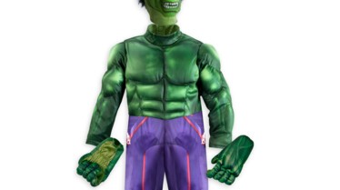 Costume Hulk - Disney Store.jpg