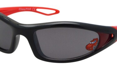 CARS_Sogema_Lunettes_3.JPG