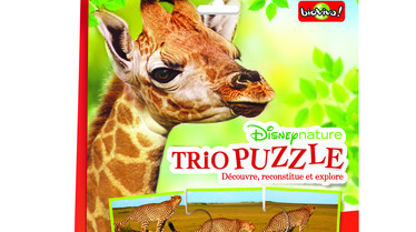 3D-Trio puzzle-ferme.jpg