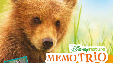 RDJ MEMO TRIO-BD.pdf