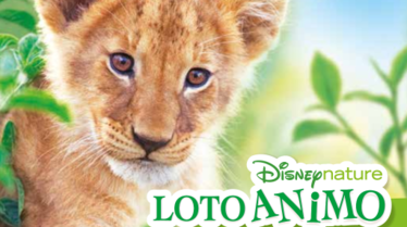 RDJ LOTO ANIMO-BD.pdf