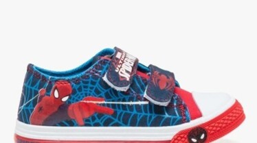 toile SpiderMan Gemo.jpg