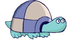 Toby la tortue.jpg