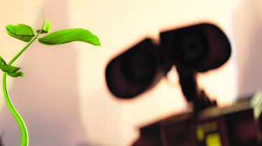 Une belle plante.jpg