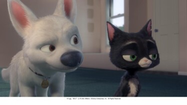 Volt et Mitaine.jpg