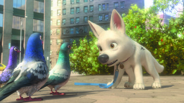 Volt et les pigeons.jpg