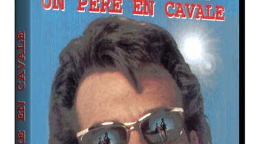 Un père en cavale - Jaquettes