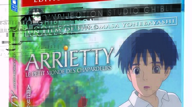 visuel Blu-ray + DVD Jaquettes.jpg