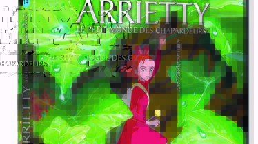 visuel DVD Jaquettes.jpg