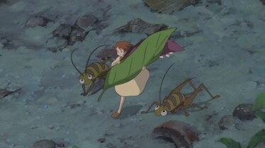 Avec les fourmis.jpg