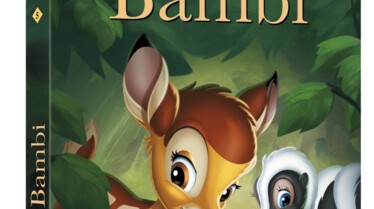 visuel DVD.jpg