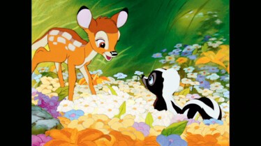 Fleur parmi les fleurs.jpg
