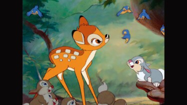 Le chant des oiseaux.jpg