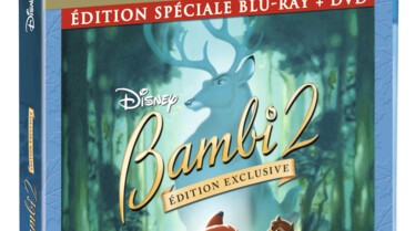 visuel Blu-ray.jpg