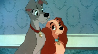 Un couple épanoui.jpg