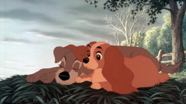 Un repos bien mérité.jpg