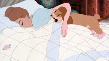 Une bonne nuit de sommeil.jpg