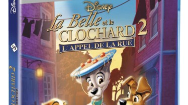 La Belle et le Clochard 2 : L'appel de la rue - Jaquettes