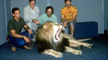 Léquipe autour dun véritable lion.jpg
