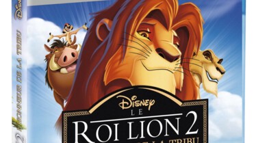Le Roi Lion 2 : L'honneur de la tribu - Jaquettes