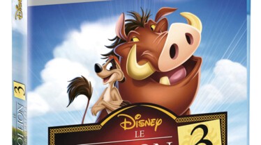 Le Roi Lion 3 Hakuna Matata - Jaquettes
