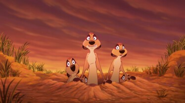 Un nid de suricates.jpg