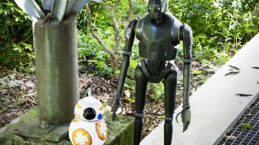bb8_jardin.jpg