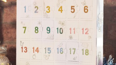 AnimatorAdvent1.jpg