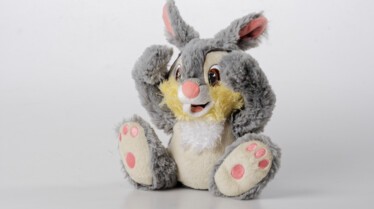 Coucou Panpan - Disney baby - Shok ID - 24.90 euros.jpg