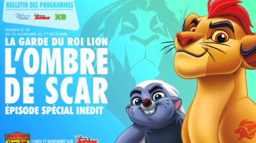 BULLETIN CHAINES DISNEY_Semaine48_du 25 novembre au 1er decembre.pdf