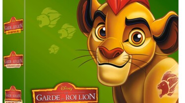 3D Coffret 3 DVD La garde du Roi Lion.jpg