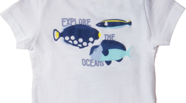 Okaidi explore the ocean.png