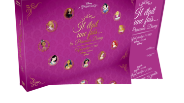 3D DVD PRINCESSE.png