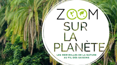 Zoom sur la planète.PNG