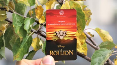 Bracelet Imagine - Le Roi lIon Disney 2019 - Moodshot 4.jpg