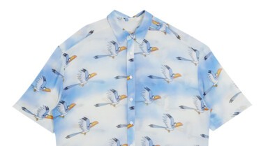 Disney The Lion King x ASOS DESIGN regular fit sheer shirt in Zazu print - 48,99 euros.jpg
