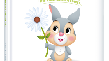 Hachette-Jeunesse-Collection-Disnet---Mes-premières-histoires---Panpan.png