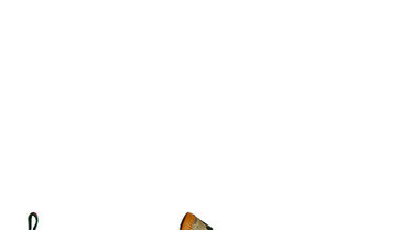 603689_HWU10_8492.jpg